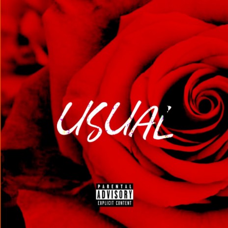 USUAL (FREESTYLE) | Boomplay Music