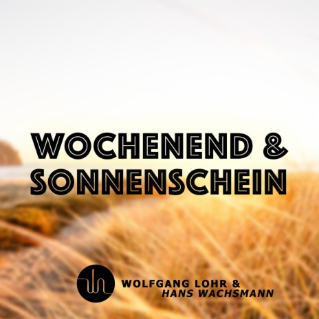 Wochenend Und Sonnenschein (Electro Swing) ft. Hans Wachsmann | Boomplay Music