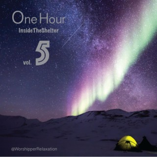 One Hour Inside the Shelter, Vol. 5