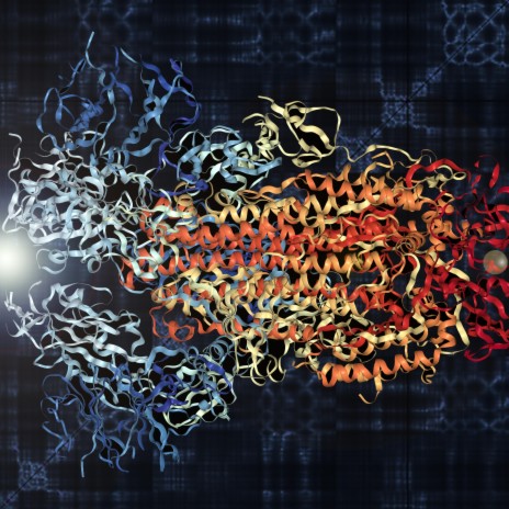 Viral Counterpoint of the Coronavirus Spike Protein | Boomplay Music