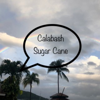 Calabash