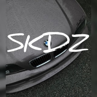 SKDZ lyrics | Boomplay Music