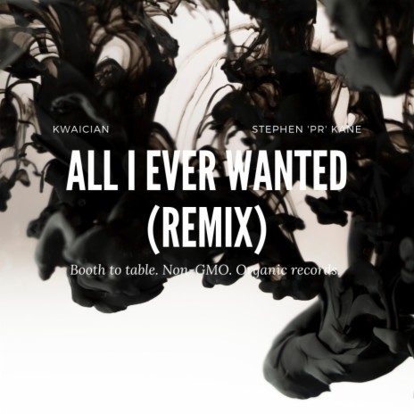 All I Ever Wanted (Stephen 'PR' Kane Remix) ft. Stephen 'PR' Kane | Boomplay Music