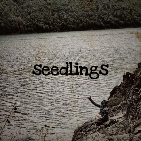 Seedlings | Boomplay Music