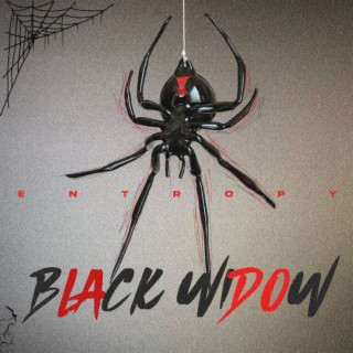 Black Widow