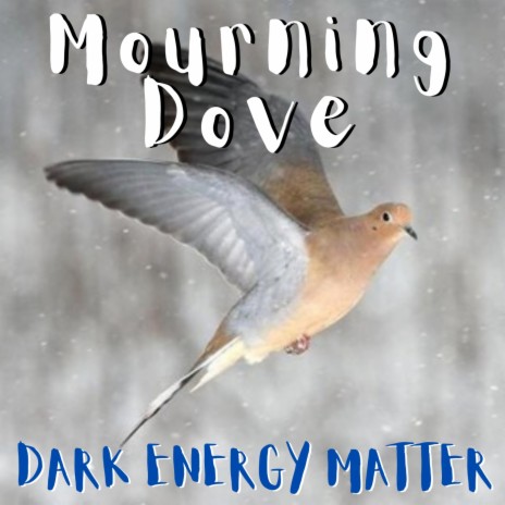 Mourning Dove