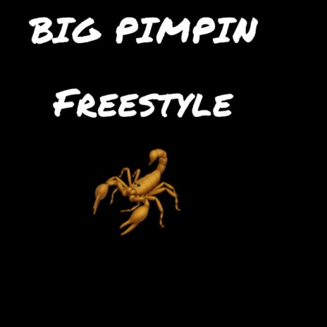 Big pimpin (Freestyle) | Boomplay Music