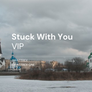 Stuck With You VIP