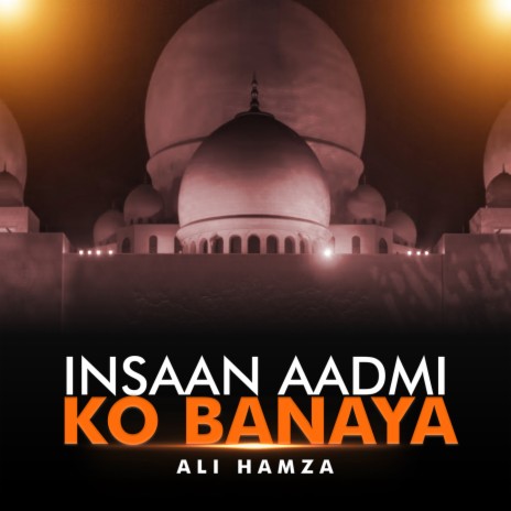 Insaan Aadmi Ko Banaya | Boomplay Music