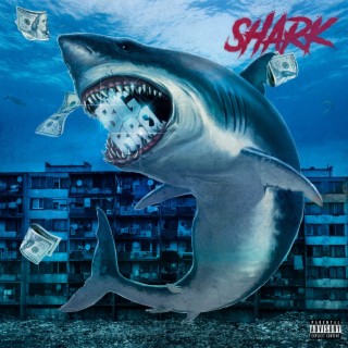 Shark