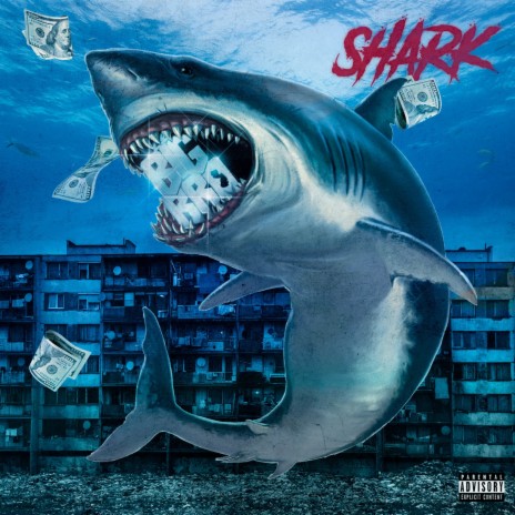 Shark | Boomplay Music