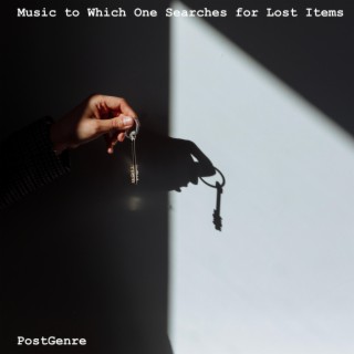 Music to Which One Searches for Lost Items