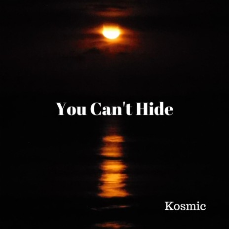 You Cant Hide | Boomplay Music