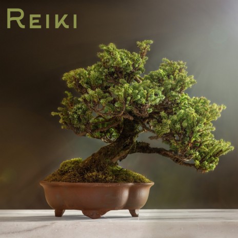 Letting Go ft. Reiki & Reiki Healing Consort