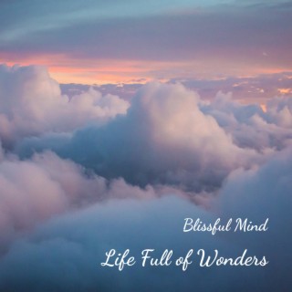 Life Full of Wonders