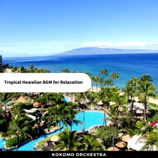 Tropical Hawaiian BGM for Relaxation