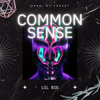 Common Sense lyrics | Boomplay Music