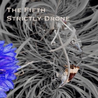 The Fifth Strictly Drone