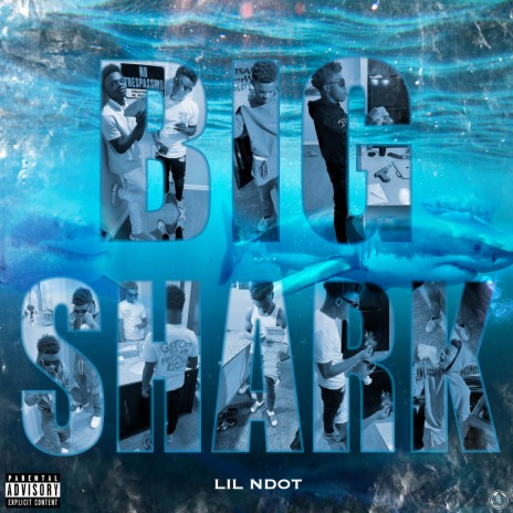 Big Shark | Boomplay Music