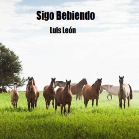 Sigo Bebiendo | Boomplay Music