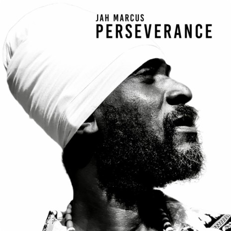 Perseverance | Boomplay Music