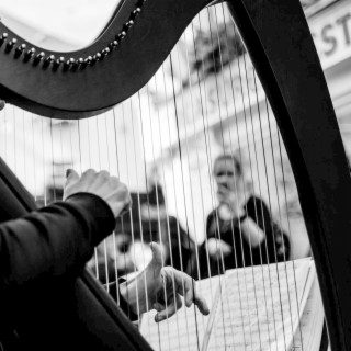 Silent Harp Sounds