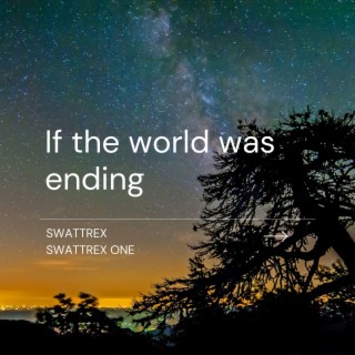 If The World Was Ending