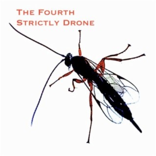 The Fourth Strictly Drone