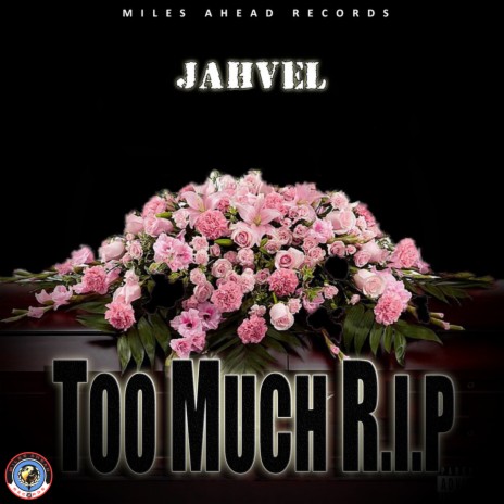 Too Much R.I.P | Boomplay Music