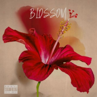 Blossom lyrics | Boomplay Music