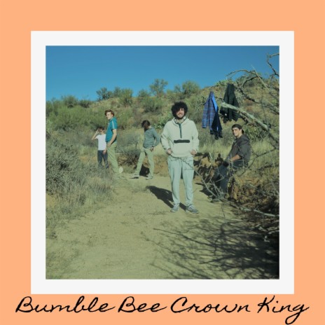 Bumble Bee Crown King | Boomplay Music