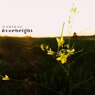 Everbright