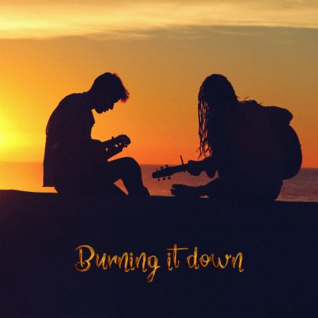 Burning It Down | Boomplay Music