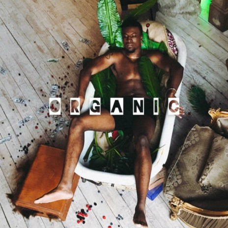 Organic ft. Soyini