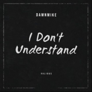 I Don't Understand (feat. Valious)