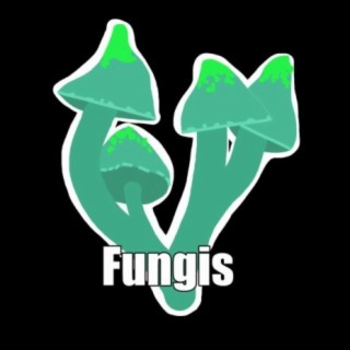 Fungis