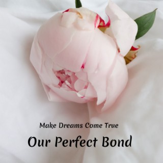 Our Perfect Bond