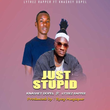Just Stupid | Boomplay Music