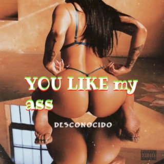 You Like My Ass