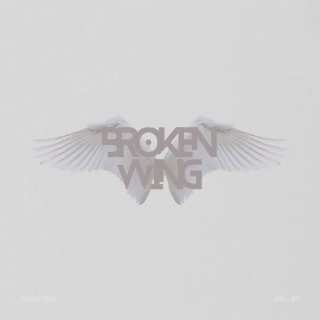 Broken Wing | Boomplay Music