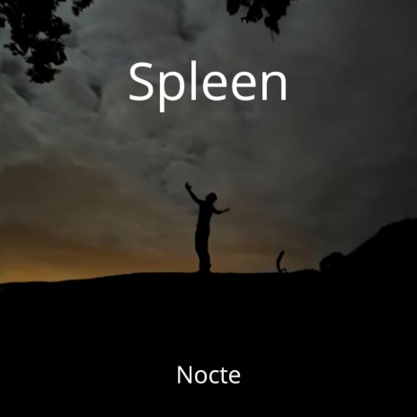 Spleen | Boomplay Music