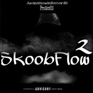 Skoob Flow 2