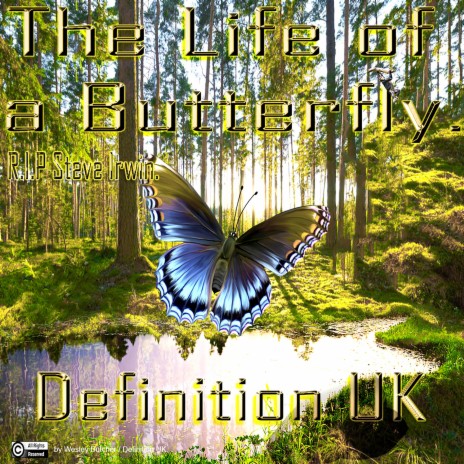 The Life of a Butterfly | Boomplay Music