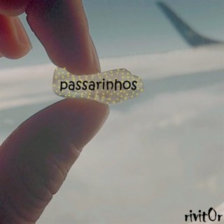 Passarinhos