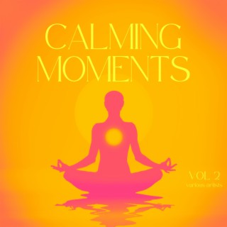 Calming Moments, Vol. 2