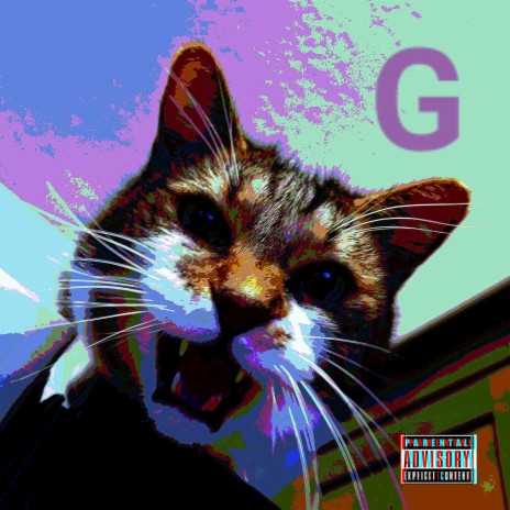 House Cat Rap | Boomplay Music