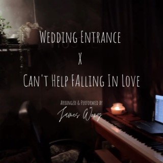 Wedding Entrance X Can't Help Falling In Love