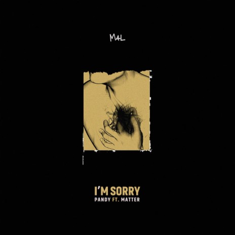I'm Sorry ft. Pandy & Black matter | Boomplay Music