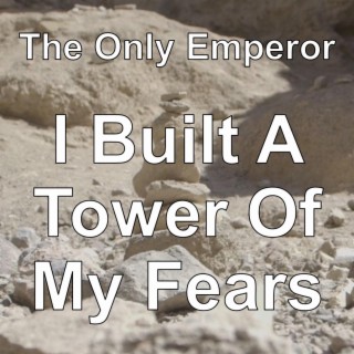 I Built A Tower Of My Fears lyrics | Boomplay Music