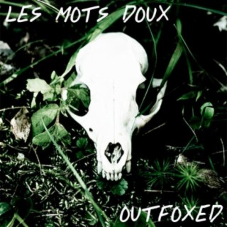 Outfoxed